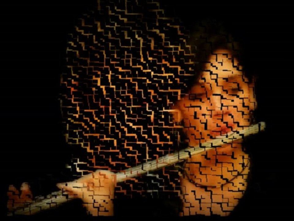 Concert des professseurs de l'école municipale de musique à Remiremont 2013