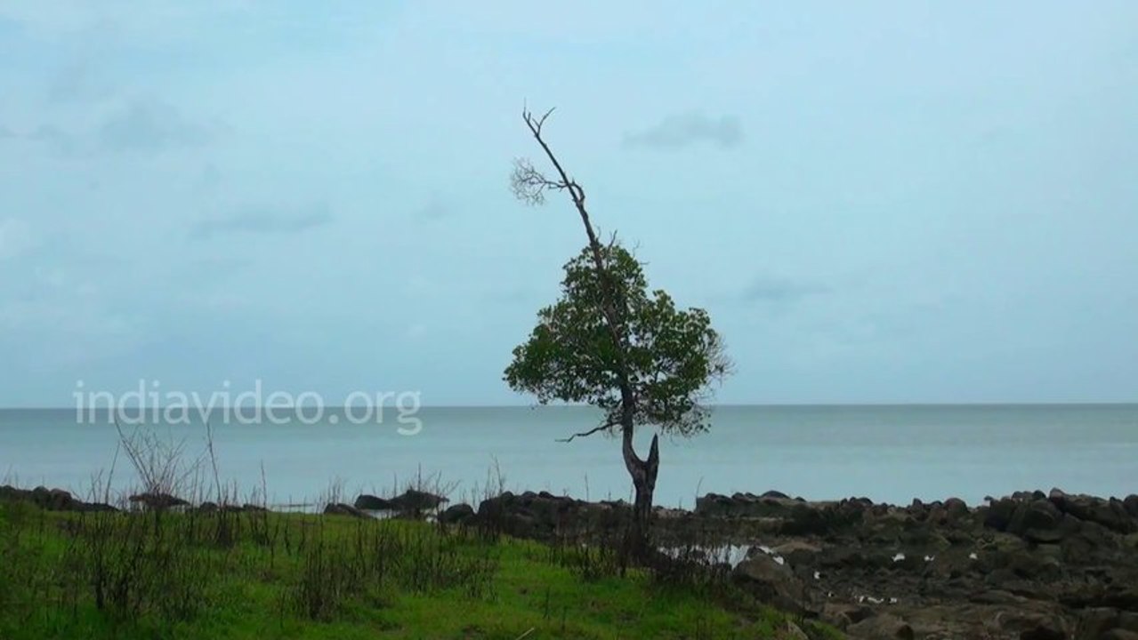 A Tranquil Seashore at Mayabunder