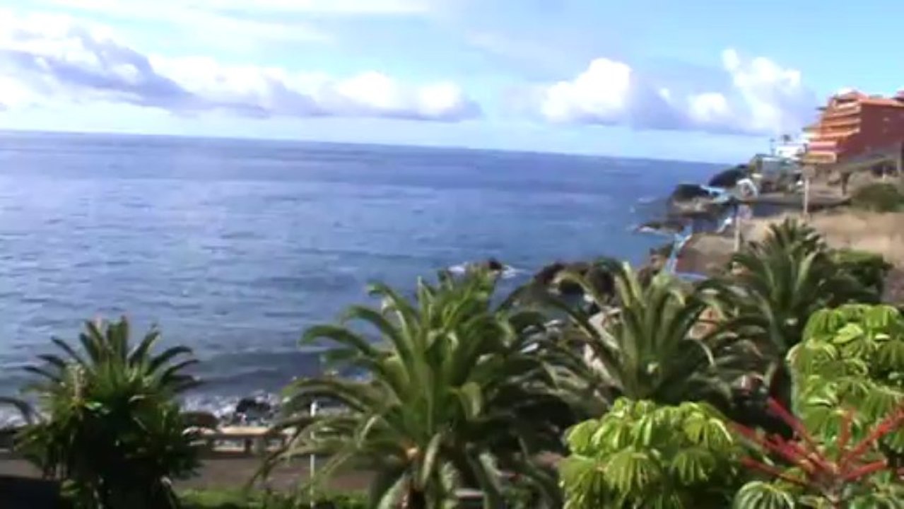 Riu Palace Madeira 4,5 Sterne Canico de Baixo (2)