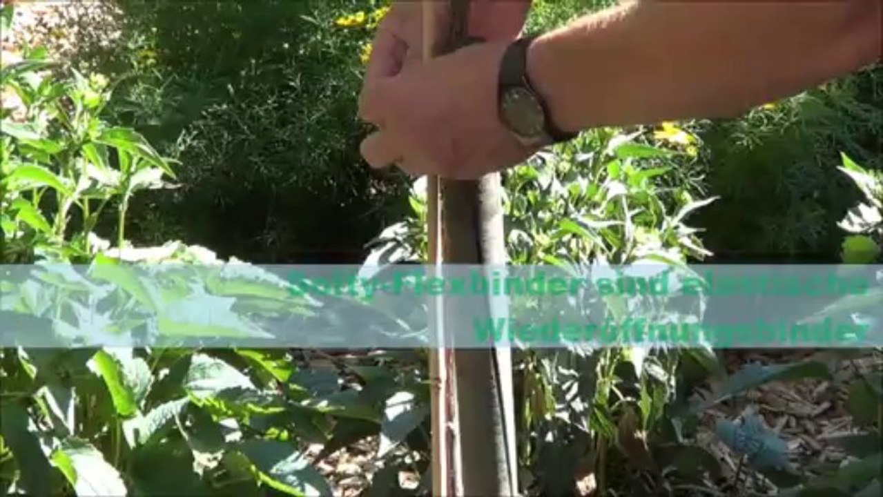 Produktvorstellung - Softy-Flexbinder