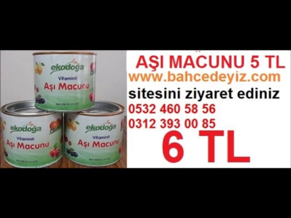 aşı macunu fiyatı,aşı-macunu-fiyatı,aşı_macunu,AŞI_MACUNU