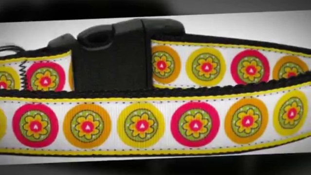 Spiked Leather Dog Collars