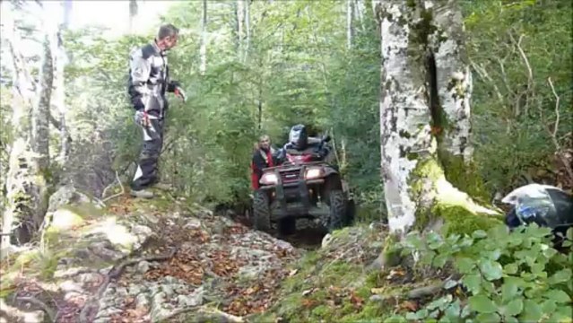 promenade d' Automne.