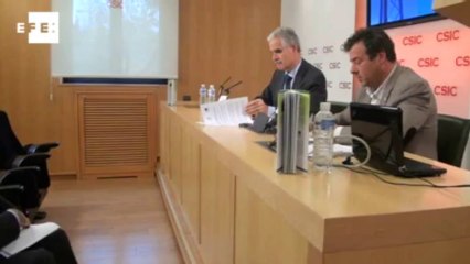 Las mejoras en los tendidos han reducido un 80% las muertes de aves en España