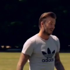 Beckham'dan süper şut!