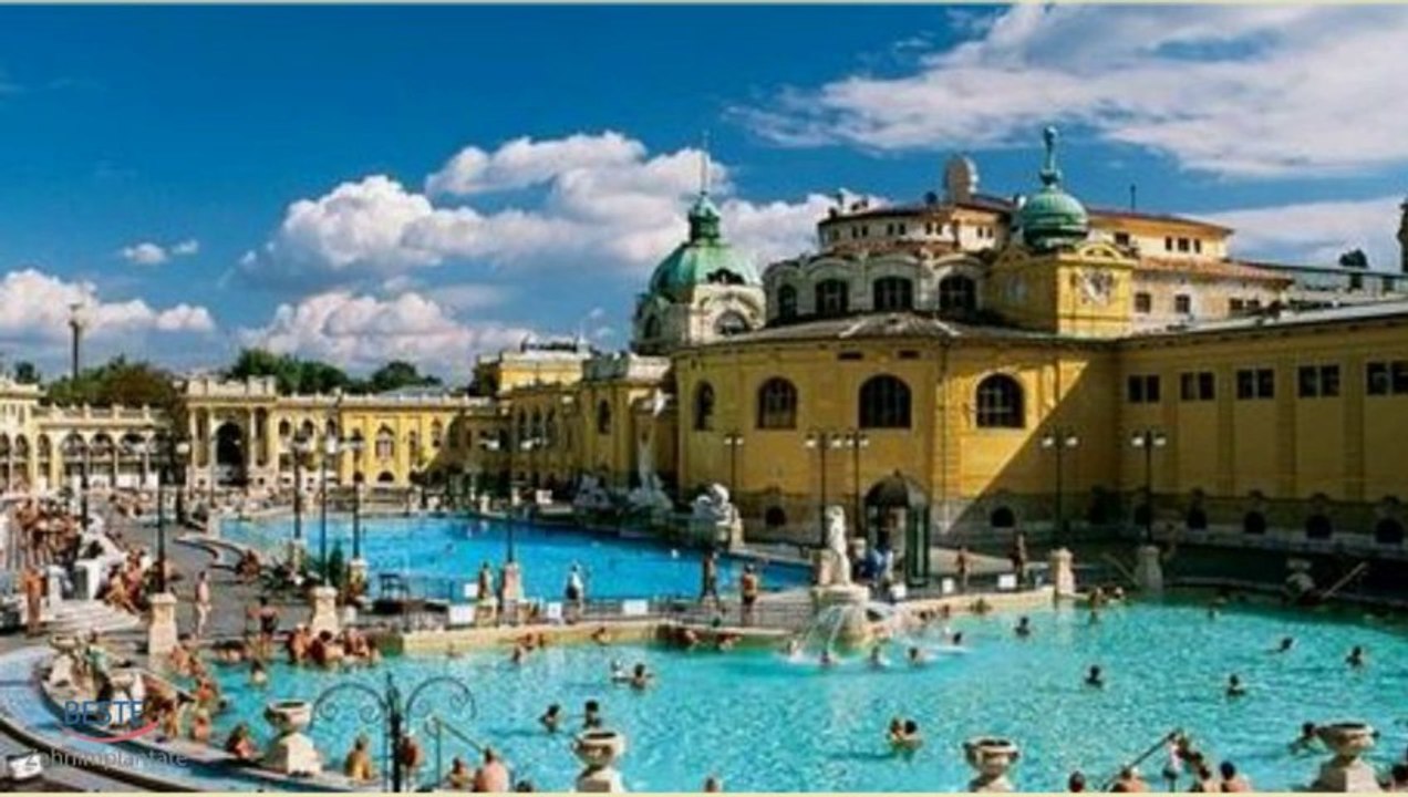 Günstige Zahnarztpraxis – Wie wird meine persönliche Assistentin mir helfen, die beste günstige Zahnarztpraxis zu finden?