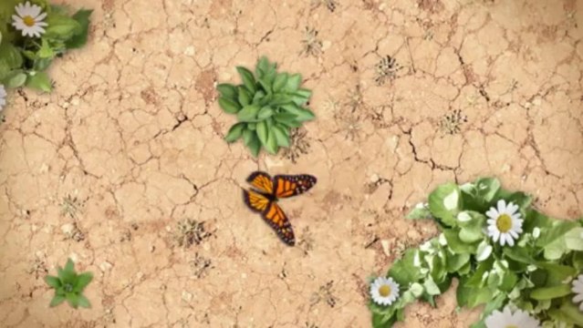 Chicago Mortgage Refinance