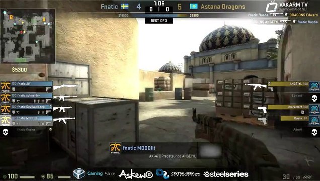 Astana Dragons vs Fnatic - SLTV VII - Partie 1