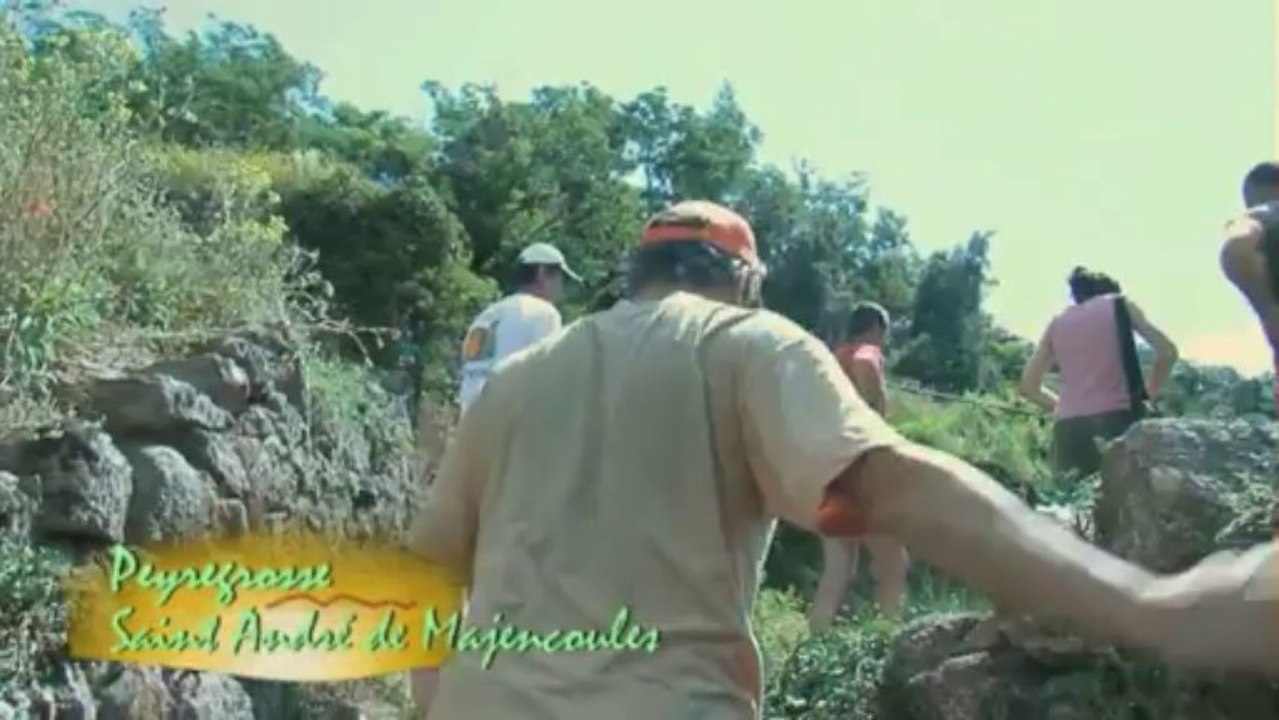 L'oignon doux des Cévennes