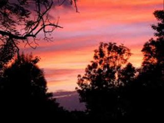 I'm Coming Virginia-Willard Robison and his Orchestra