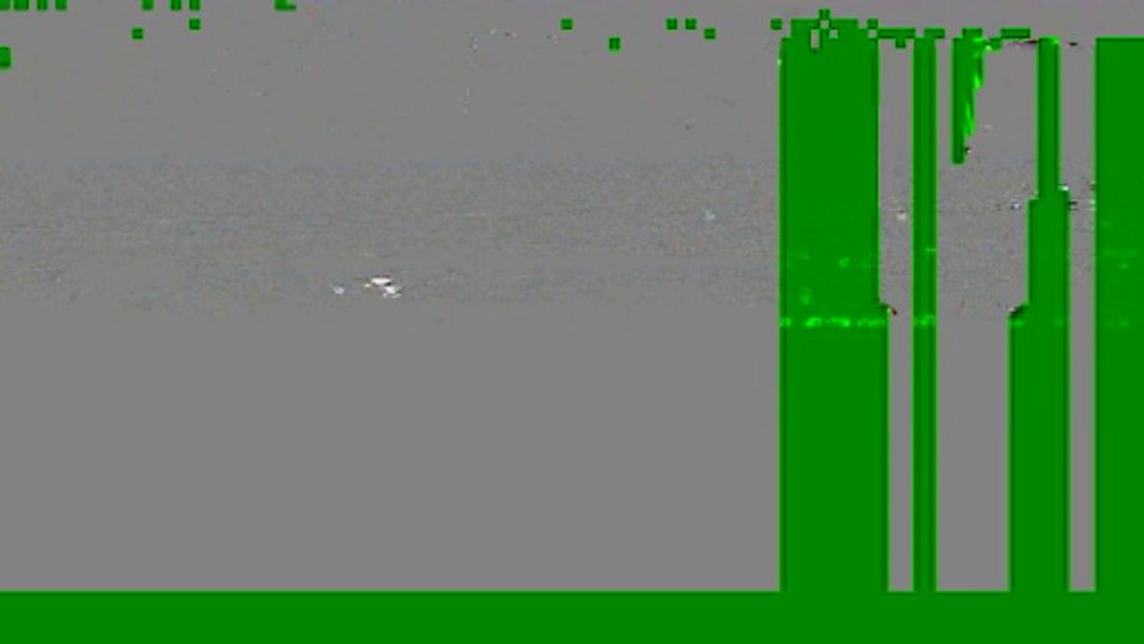 Gitanpecheur Ile de Ré aout 2013