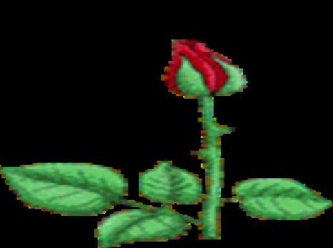 Mahjabeen Bahar ter sho Shams u zaman shams