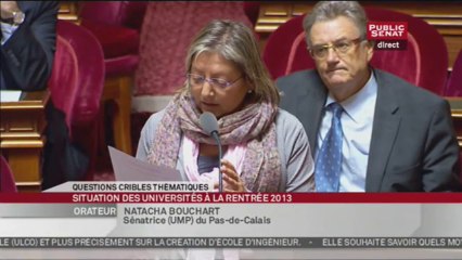 Questions cribles - Les universités