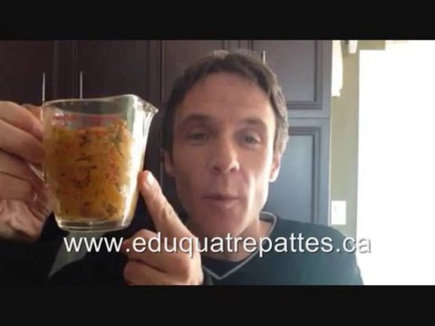 Éducateur canin: comment remplir un jouet Kong pour chien et le faire durer longtemps.