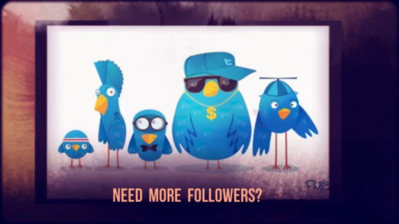 Buy USA Targeted Twitter Followers