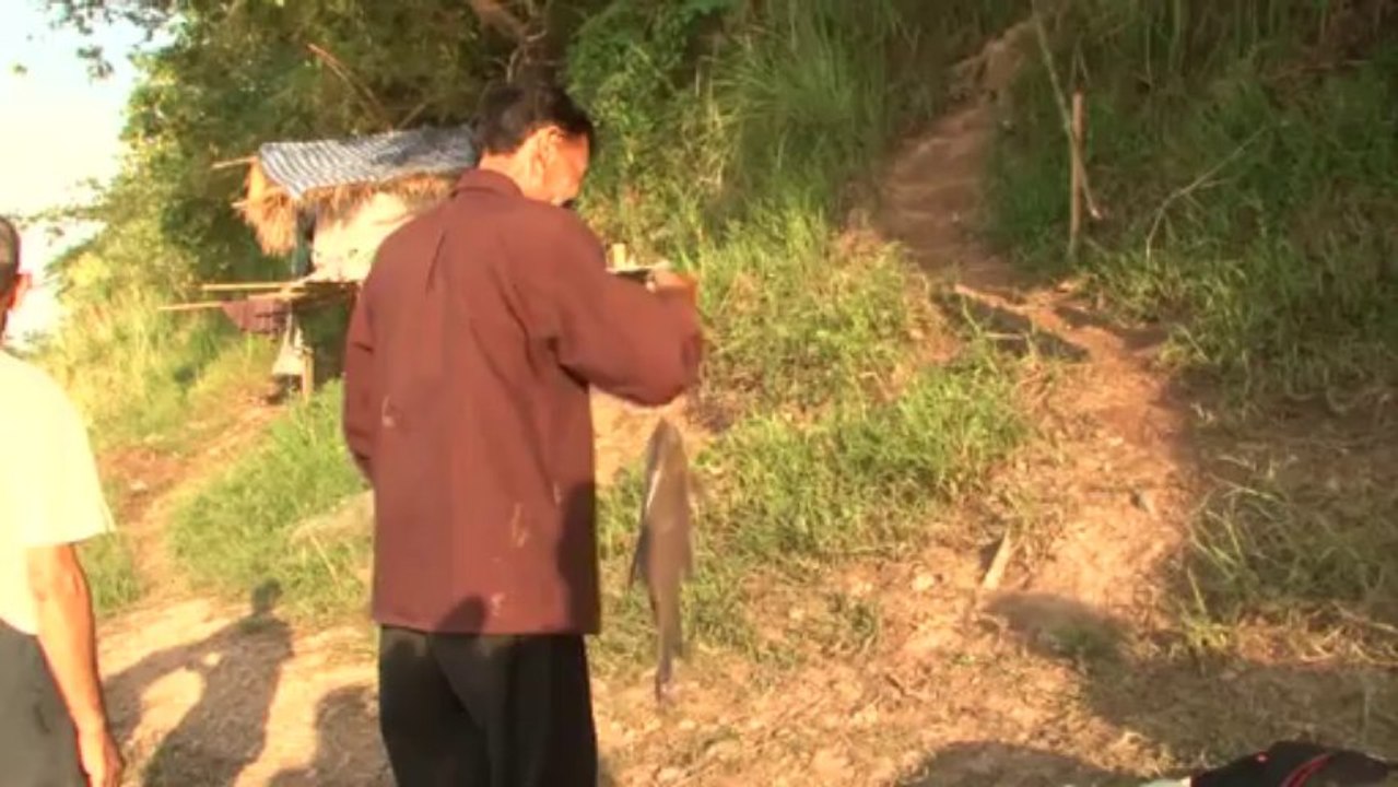 Riesenstaudämme bedrohen Mekong-Fischer