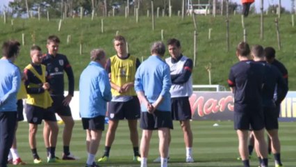 Wilshere entitled to opinion - Hodgson and Gerrard