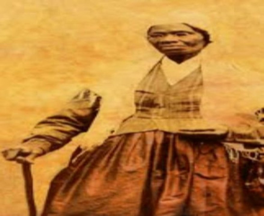 THE MEGALOMANIA THAT WHITES FREED BLACKS