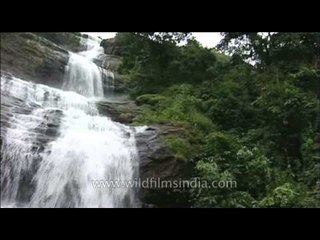 Mesmerising beauty of nature and waterfall