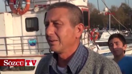 Dev köpekbalığı ağlara takıldı