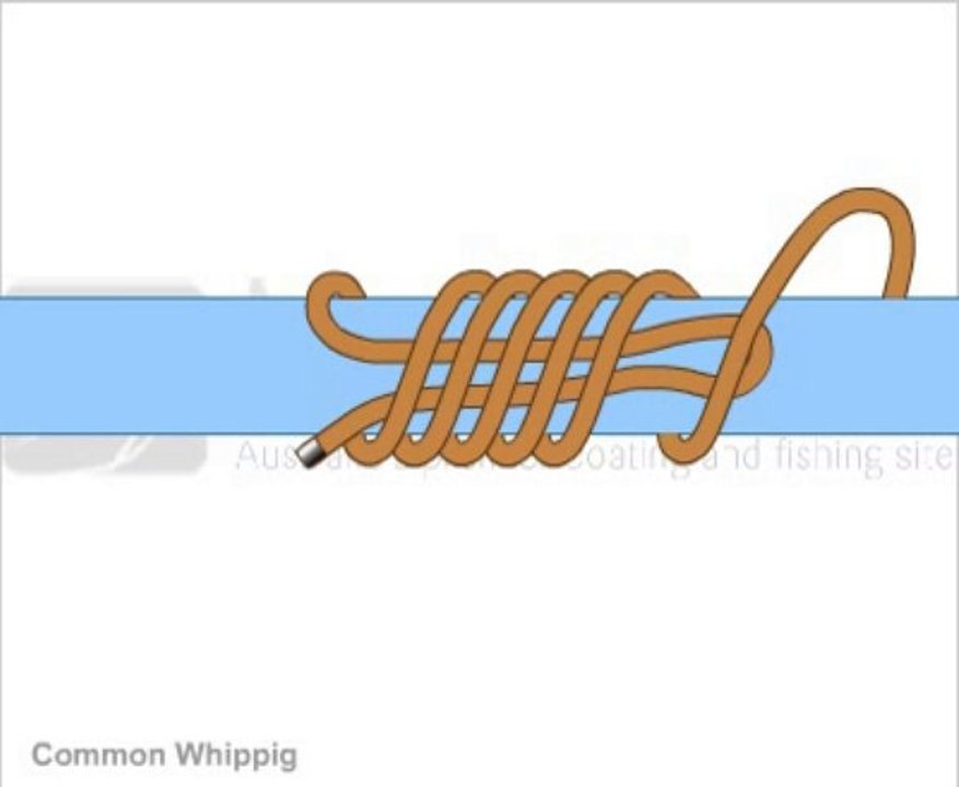 Learn how to tie  Common Whippig Knot