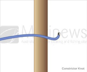 Learn how to tie Constrictor Knot