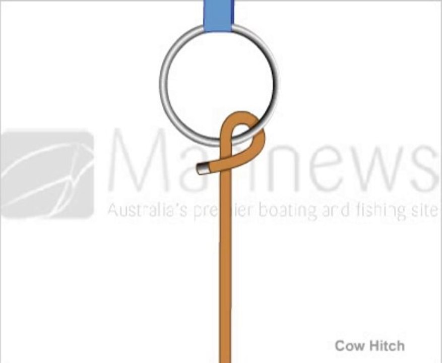 Learn how to tie  Cow Hitch Knot