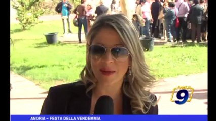 Andria | Festa della vendemmia