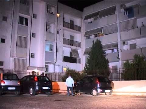 TG 10.10.13 Agguato a Bitritto, ferito pregiudicato di 47 anni