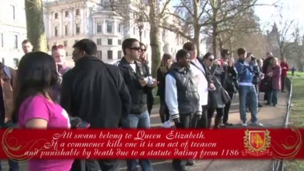 How To Become a Lord - by Nimrod Kamer