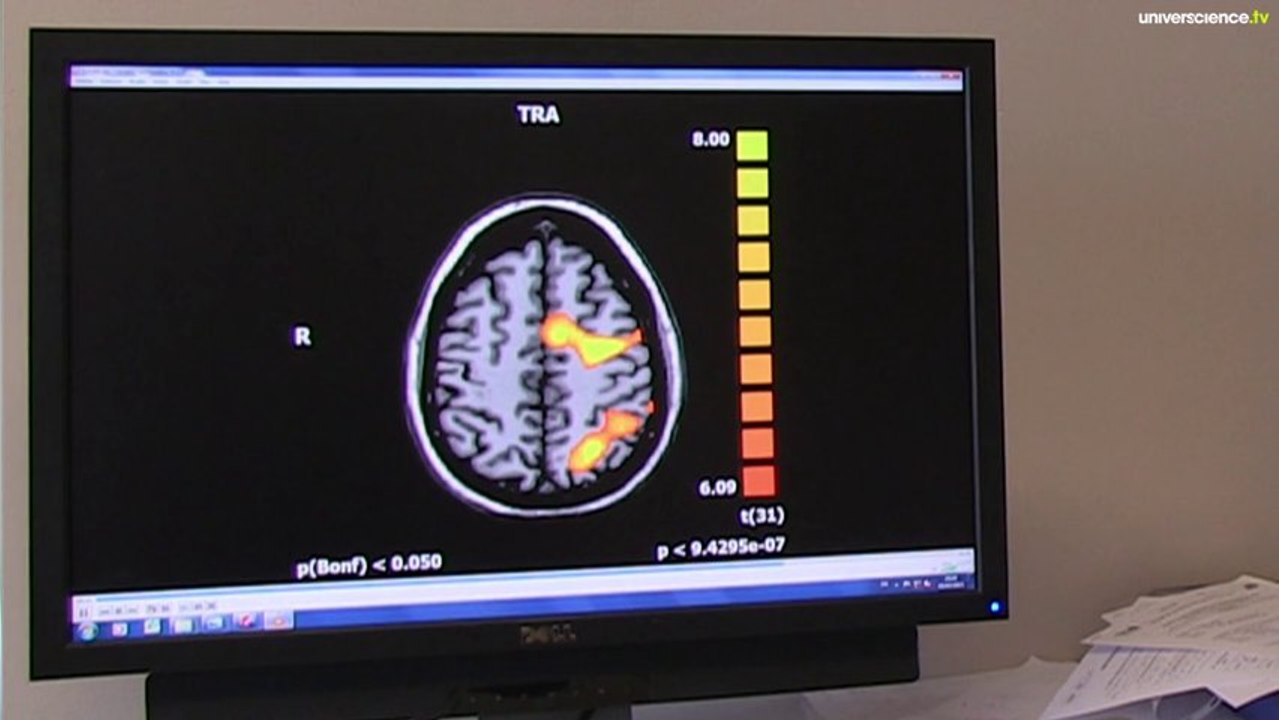 REVE, la recherche de la conscience
