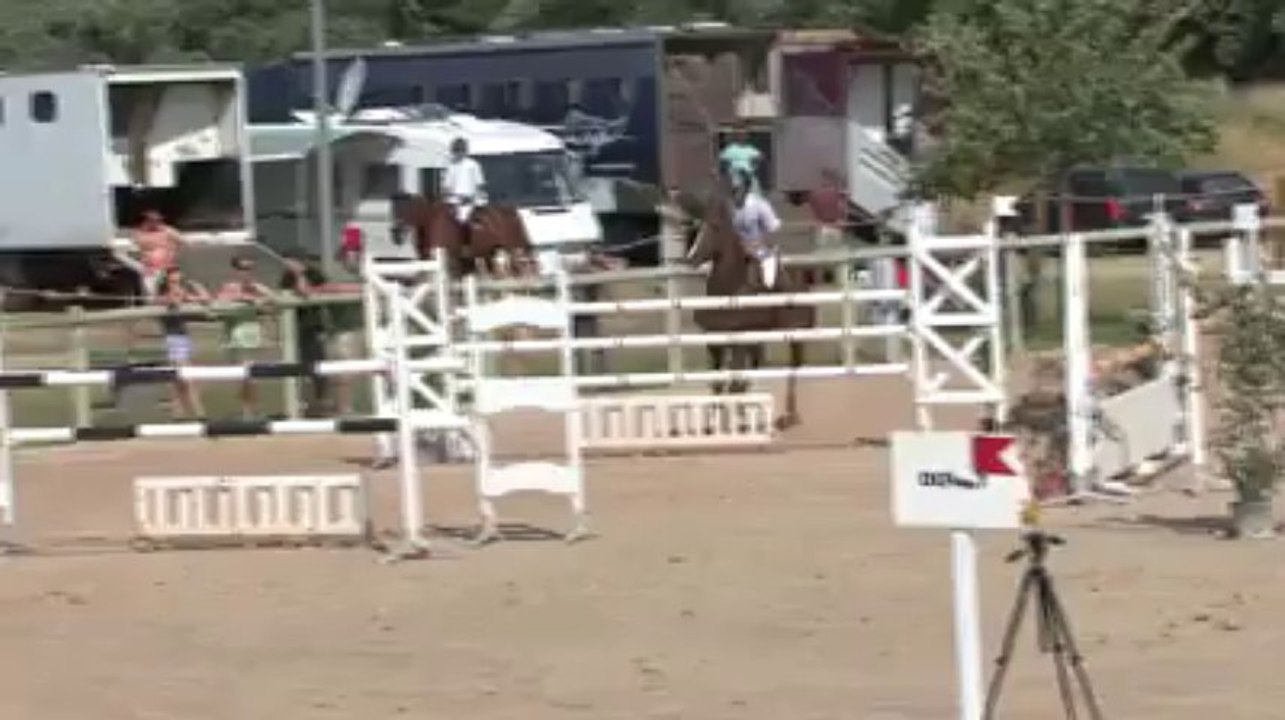 Shamdala de Buissy 2013/07/28 GP PRO II 130 Bernard Sainsardos