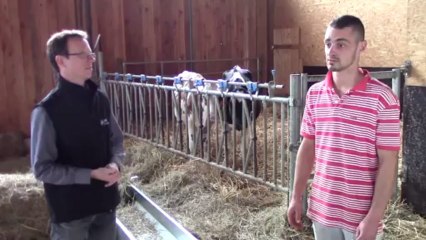 EARL de la Plaine - Découvrez l'élevage et les caractéristiques de l'AOC st Nectaire