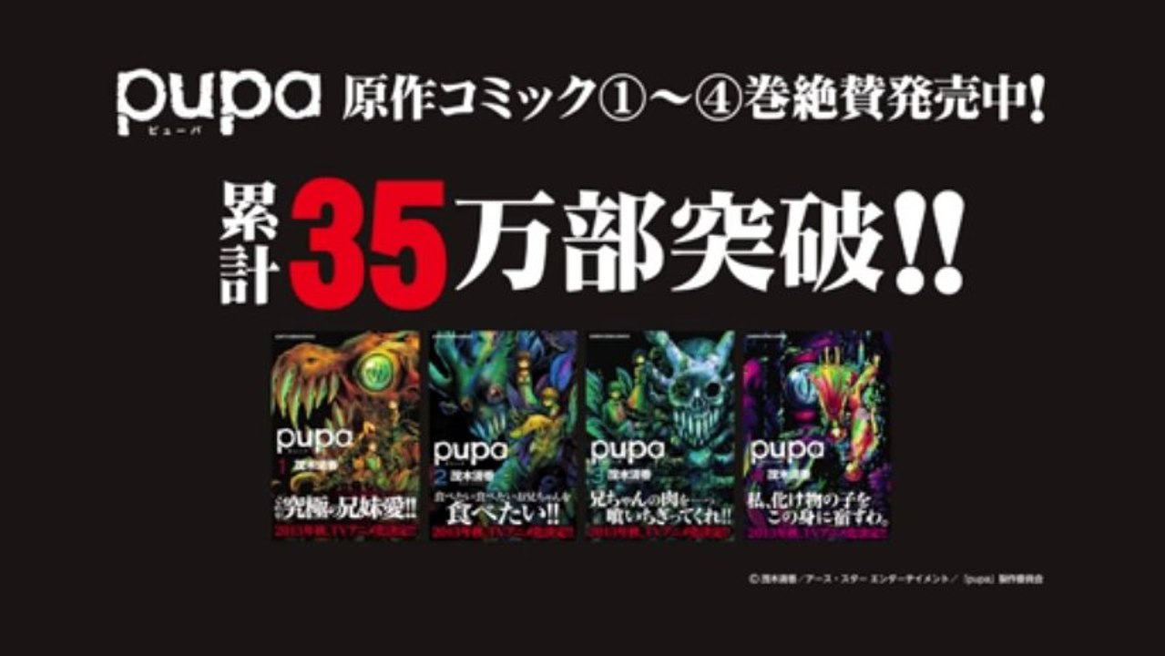 Pupa - Preview
