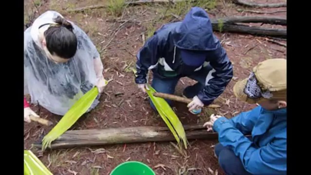 Team Building Activities for Adults Xperiences