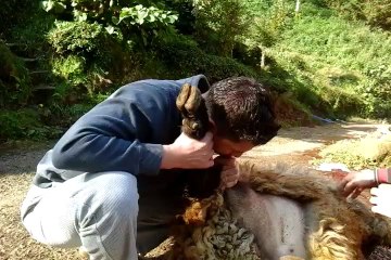 koç nasıl şişirilir?