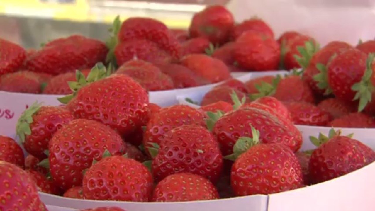 Midi Chez Vous - Samer