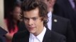 Harry Styles Reveals His Ultimate Woman