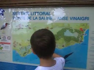 petite rando sympa du coté des Salines Guadeloupe