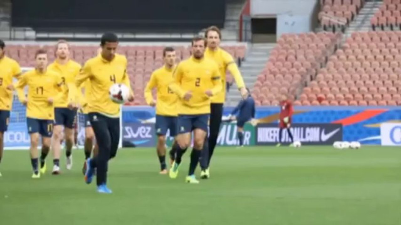 Cahill vor Frankreich: 'Erkennen, wie die Realität ist'