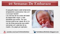 26 Semanas De Embarazo: Cómo Se Encuentra El Bebé Tras 26 Semanas De Embarazo