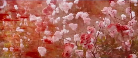 Django Unchained / Zincirsiz - Fragman (Orjinal Dil)