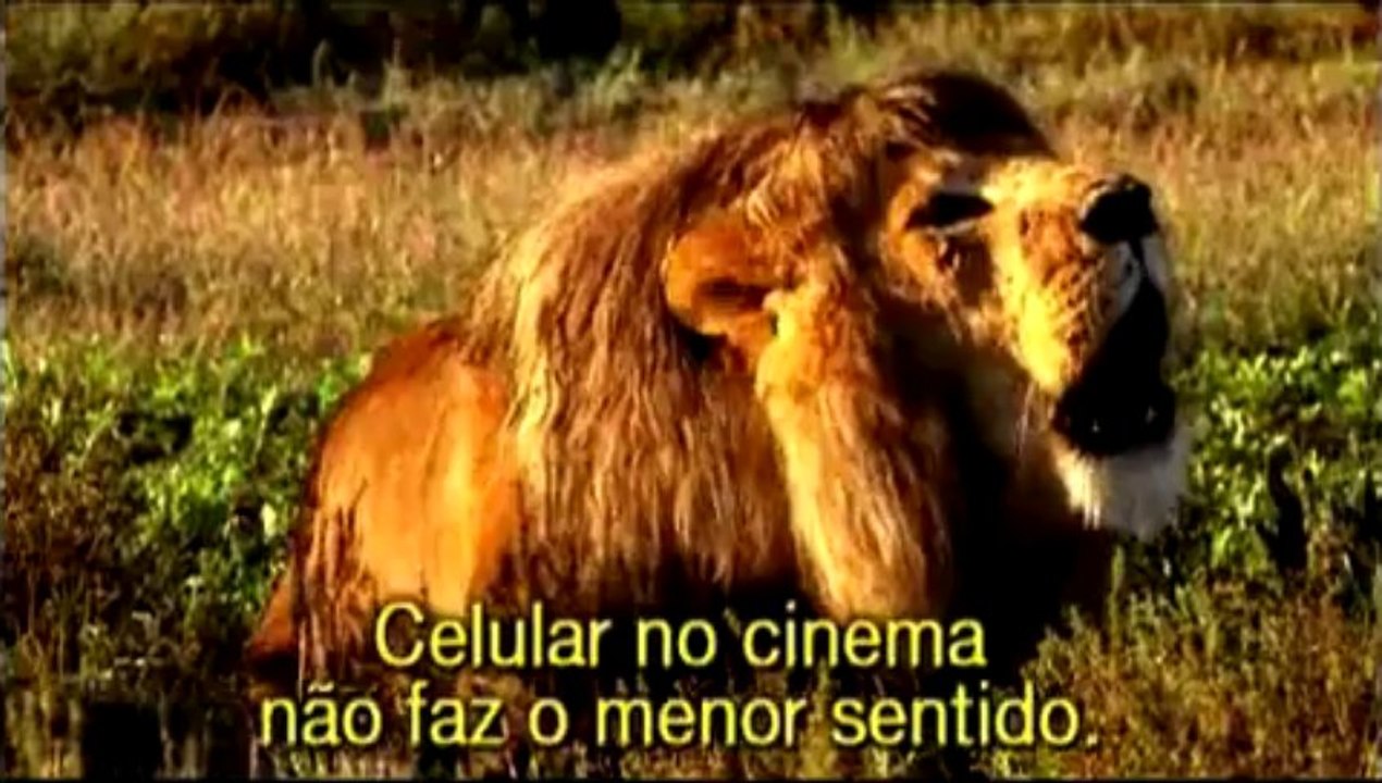Leao