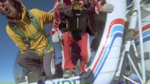 La Gallus Cam par LG (La poulette Cam)