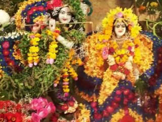 MAA KAALI KI SHAKTI MERI BHAGTI ASTROLOGER VISHWANATH SHASTRI +91 9988774427