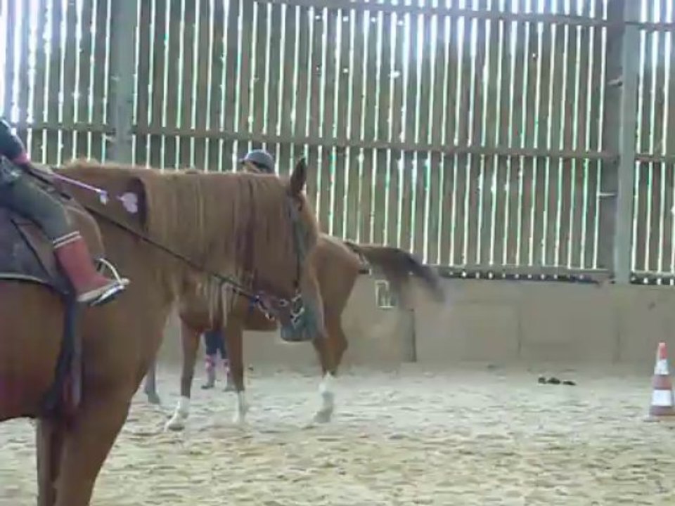 cheval
