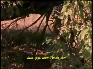 الفيلم الوثائقى الاسود والضباع مشاهدة مباشرة