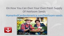 Heirloom Seeds Our Garden Heritage 6