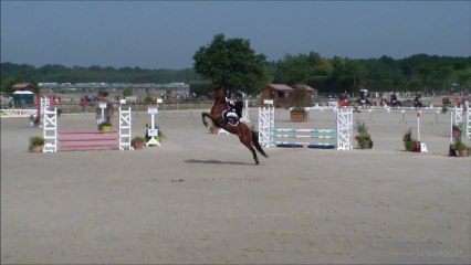 Championnat de France 2013 en Poney 2D excellence