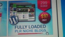 299 PLR Niche Blogs For 30 Cents Per Blog!